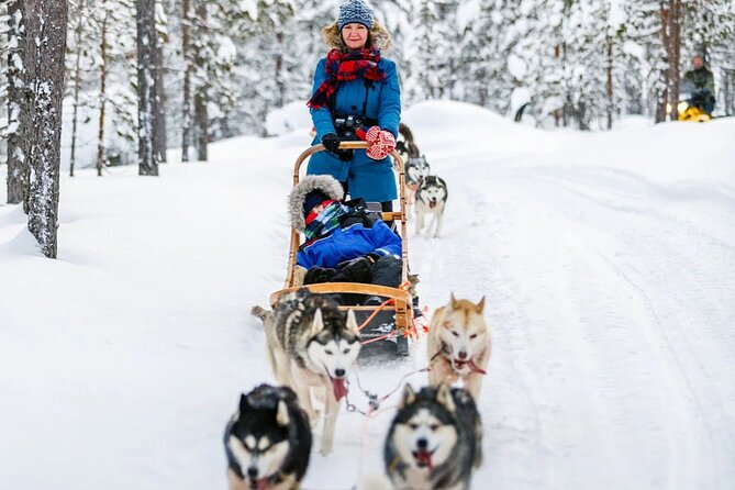 Snowy Trails 10km Husky Safari from Rovaniemi - Is $306.90 a fair price?