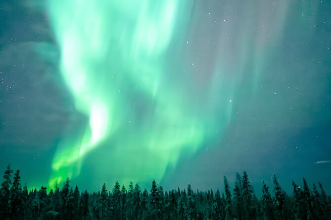 The Ultimate Guaranteed Aurora Hunt - Photos and video: a useful extra with a caution