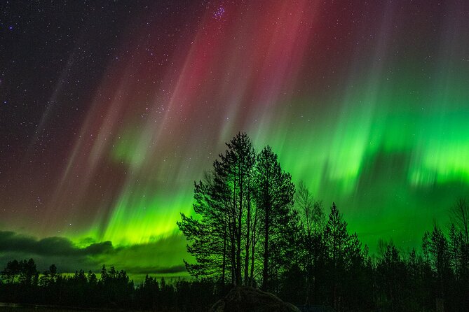 The Ultimate Guaranteed Aurora Hunt - Who should book this Rovaniemi aurora chase?