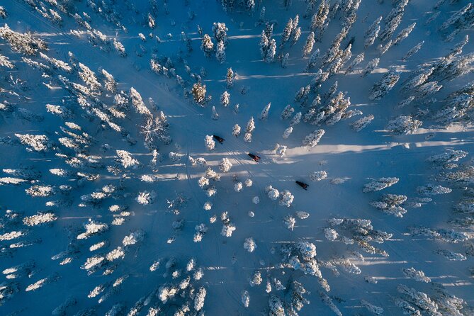 Thrill of Snowmobiling for Adults Only - Learning to control the snowmobile