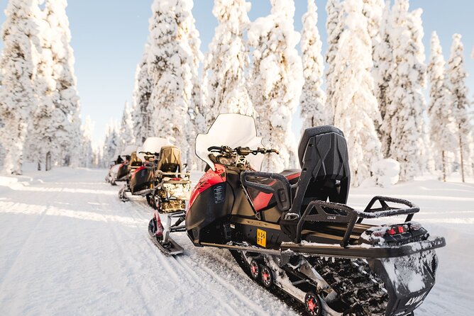 Thrill of Snowmobiling for Adults Only - Two seats or one?