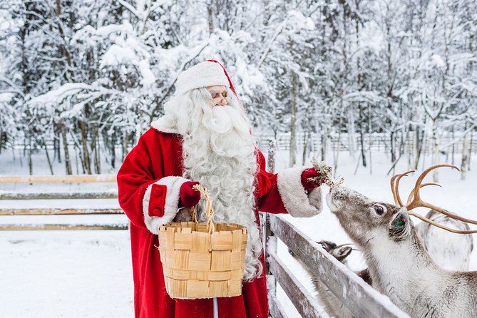 Trip to Arctic Circle, Santa Claus Village and Santas Reindeer - Key points to know before booking
