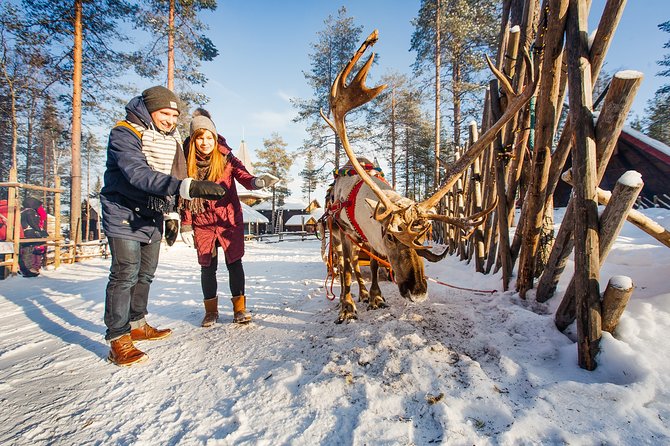 Trip to Arctic Circle, Santa Claus Village and Santas Reindeer - What the $237.09 price really buys you