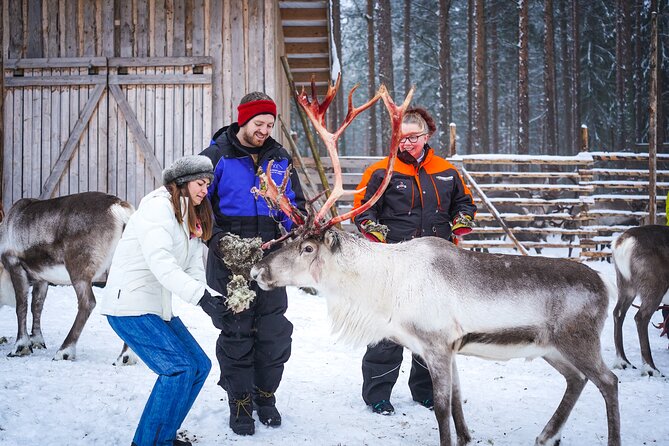Two Full Days in Lapland - Clothing, transport, and group size