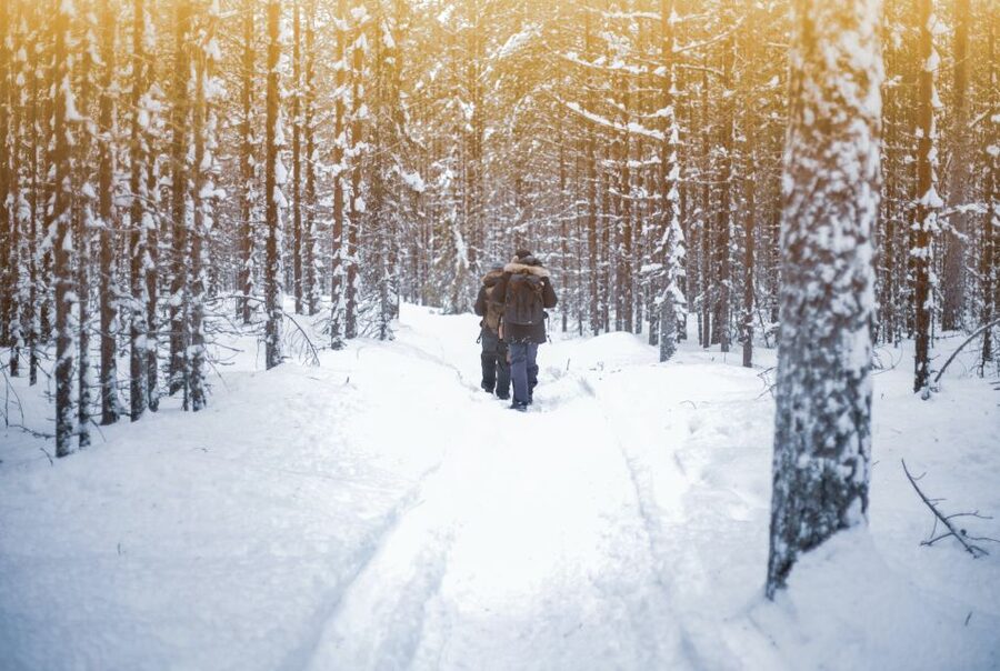 Vikakongas Hike: Nature and Silence - A quiet Arctic walk beside the Vikaköngäs Rapids