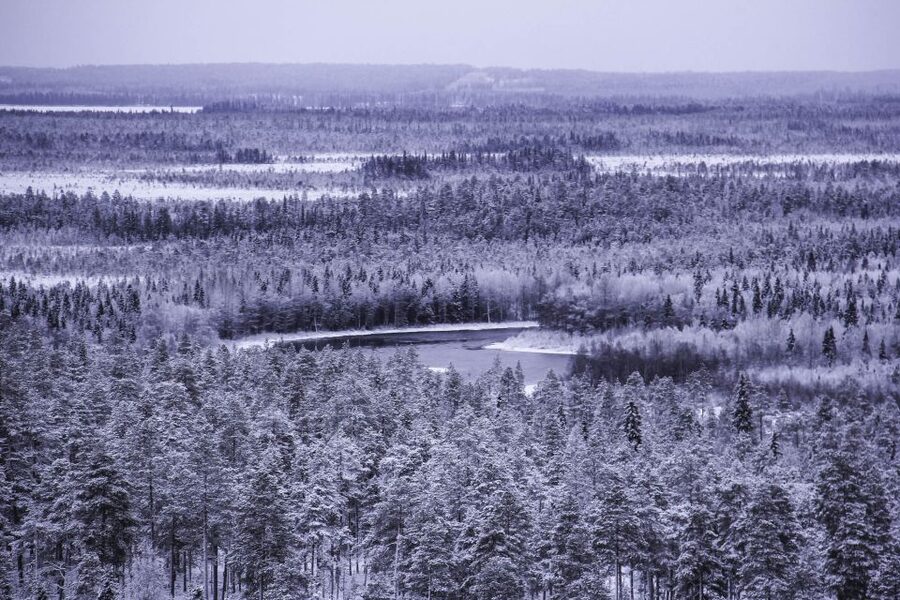 Vikakongas Hike: Nature and Silence - Two kilometers through the forest near the river