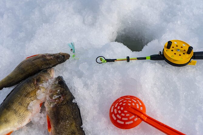 VIP Ice Fishing "ICEBREAKER" Lunch in Glass Igloo - Guides make the difference