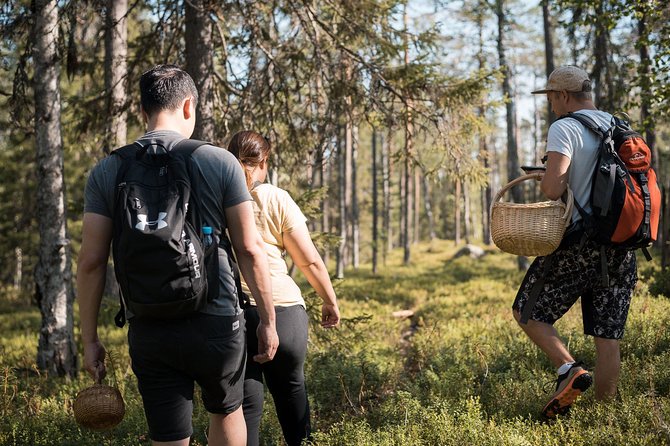 Wild Berries and Mushroom picking tour - Why foraging makes sense in Lapland