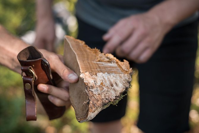 Wild Berries and Mushroom picking tour - Tasting berries while you walk