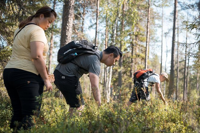 Wild Berries and Mushroom picking tour - Is $104 a fair price?