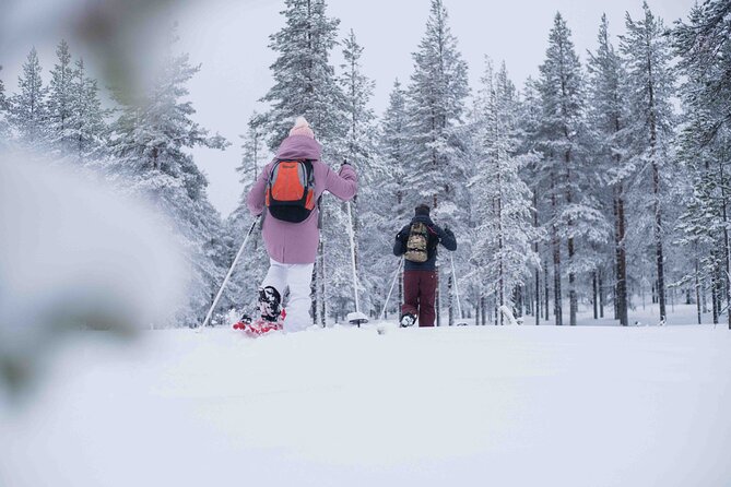 Wilderness snowshoe adventure - Leaving Rovaniemi for the snowy woods