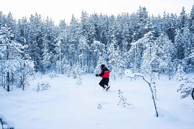 Wilderness snowshoe adventure - Photography lessons in cold-weather conditions