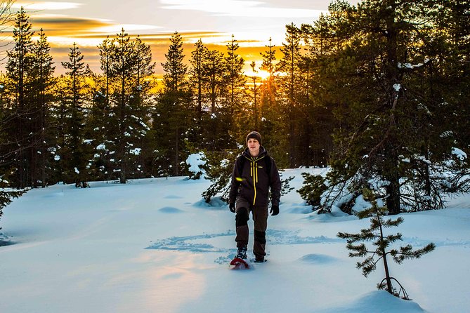 Wilderness snowshoe adventure - Who will enjoy this Arctic outing most?