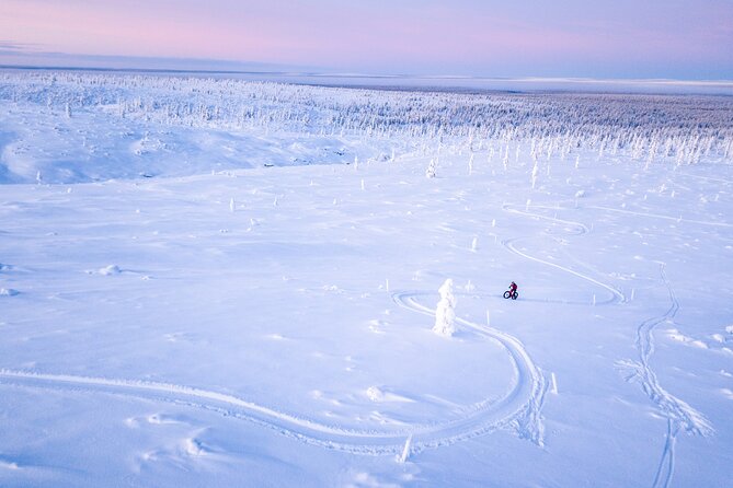 Winter afternoon group Ride in Saariselkä - What this Saariselkä winter ride is really like