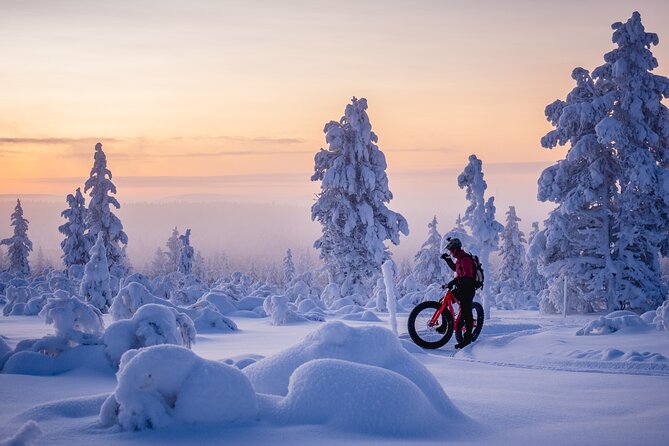 Winter afternoon group Ride in Saariselkä - Photo stops without losing the flow
