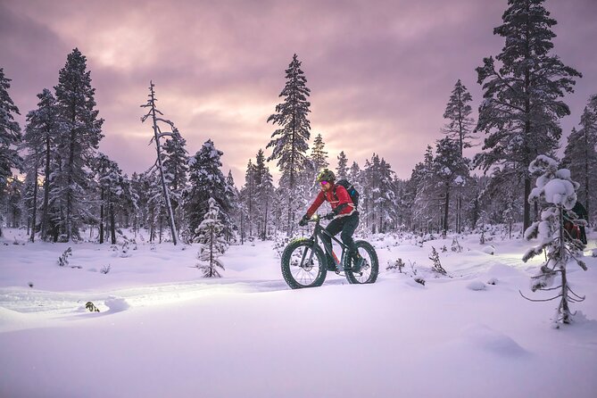 Winter afternoon group Ride in Saariselkä - Is $161 a fair price for two hours?