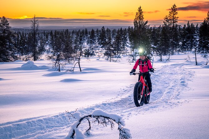 Winter afternoon group Ride in Saariselkä - Starting at Roll Outdoors Saariselkä at 3 pm