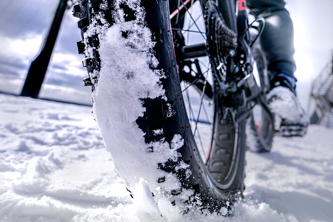 Winter Fatbiking in Ivalo (2 hours) - Starting at Ivalon Eräsoppi at 10 a.m.