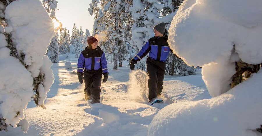 Ylläs: Forest Hike with Snowshoes - Key points to know before booking