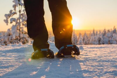 Forest Hike with Snowshoes