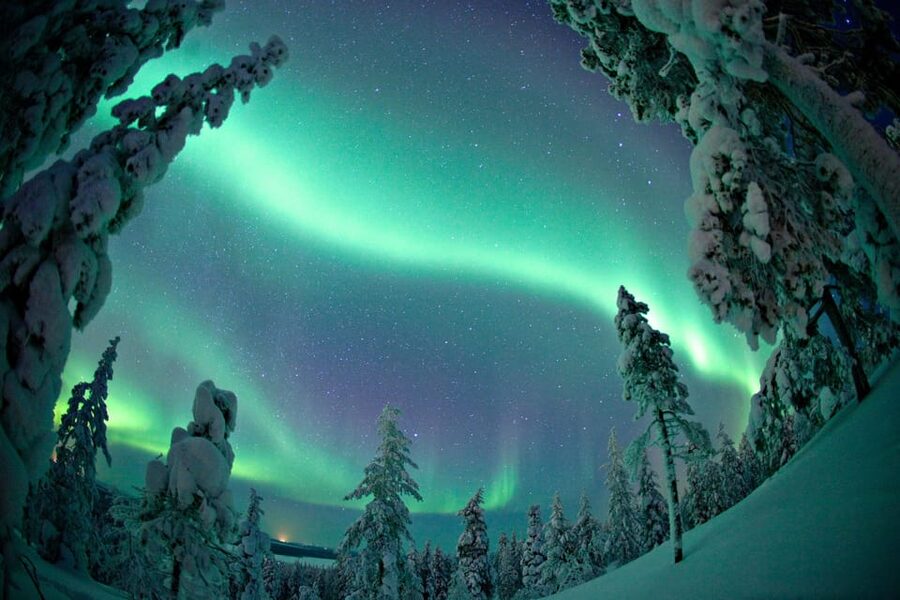 Ylläs: Seeking Northern Lights Photo Tour - Chasing the aurora across Ylläs