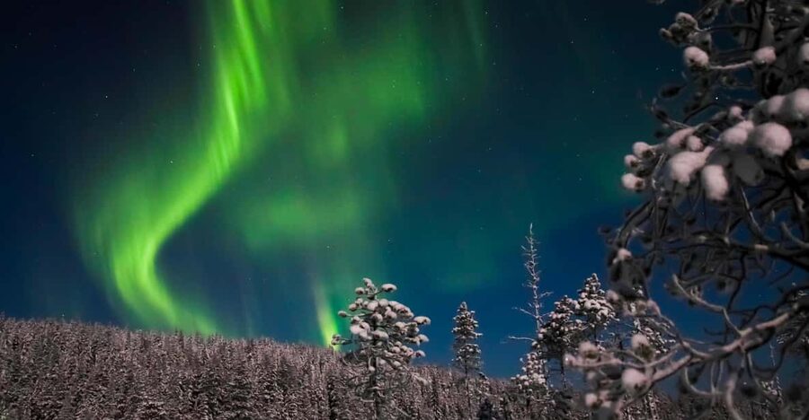 Ylläs: Seeking Northern Lights Photo Tour - Hot drinks, gingerbread, and the cold